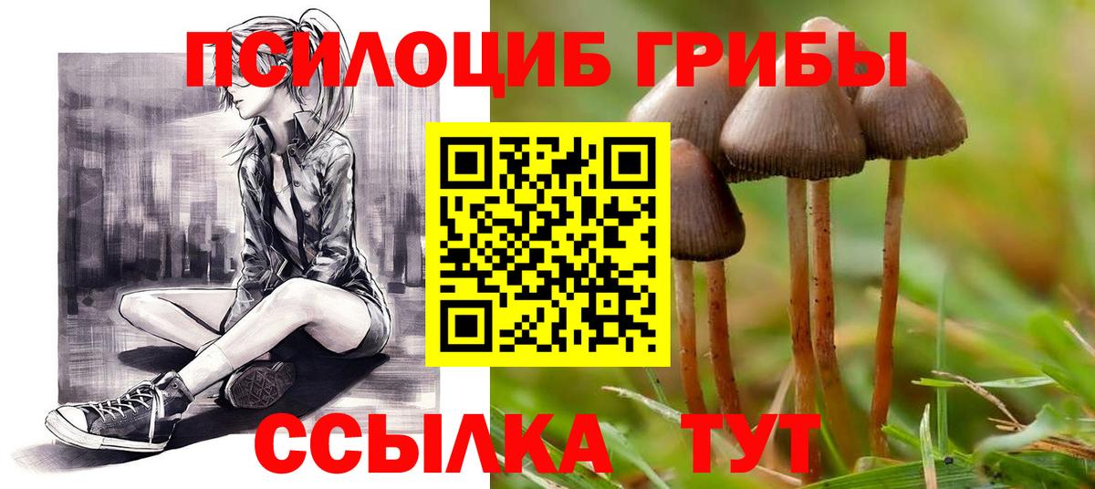 Галлюциногенные грибы Magic Shrooms Обь